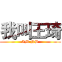 我叫王琦 (IM NB)