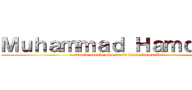 Ｍｕｈａｍｍａｄ Ｈａｍｄａｎｉ (a stupid people who don't know themselves)