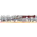 植物毒哪里有卖 (植物毒哪里有卖【电-186x2687x6963-Q278180069元-吉-药-业】我们做的是长期生意,靠的是老客户长期支持 http://sngk.net/6A9eBr
)