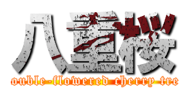 八重桜 (Double-flowered cherry tree)
