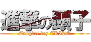 進撃の顕子 (Tungkol kay AKIKO)