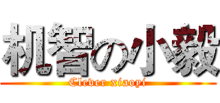 机智の小毅 (Clever xiaoyi)