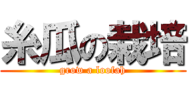 糸瓜の栽培 (grow a loofah)