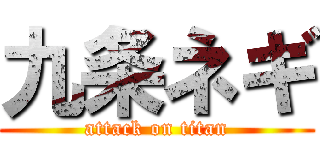 九条ネギ (attack on titan)