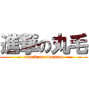 進撃の丸毛 (attack on marumo)