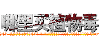 哪里买植物毒 (哪里买植物毒【电-186x2687x6963-Q278180069元-吉-药-业】我们做的是长期生意,靠的是老客户长期支持 http://sngk.net/yvt0aJ
)