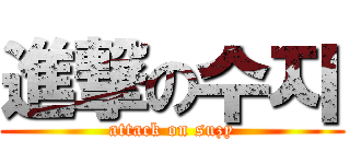 進撃の수지 (attack on suzy)