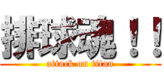 排球魂！！ (attack on titan)