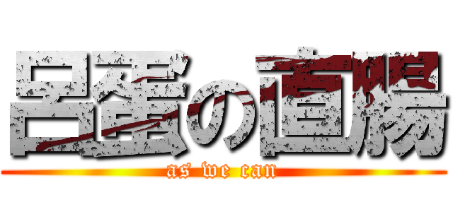 呂蛋の直腸 (as we can)