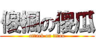 傻楓の傻瓜 (attack on titan)