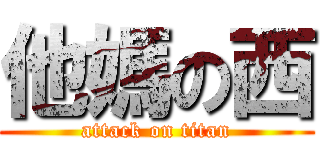 他媽の西 (attack on titan)