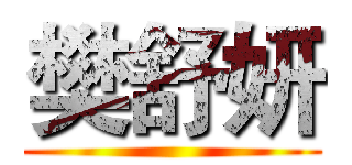 樊舒妍 (        )