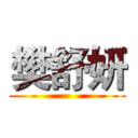 樊舒妍 (        )