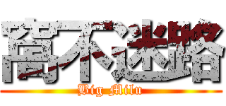 窩不迷路 (Big Milu)