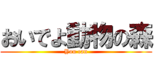 おいでよ動物の森 (You can)