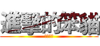 進擊的笨貓 (屎貓翻轉)