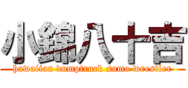 小錦八十吉 (hawaiian dumptruck sumo wrestler)
