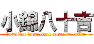 小錦八十吉 (hawaiian dumptruck sumo wrestler)