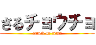 さるチョウチョ (attack on titan)