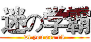 迷の学霸 (wl you are nb)