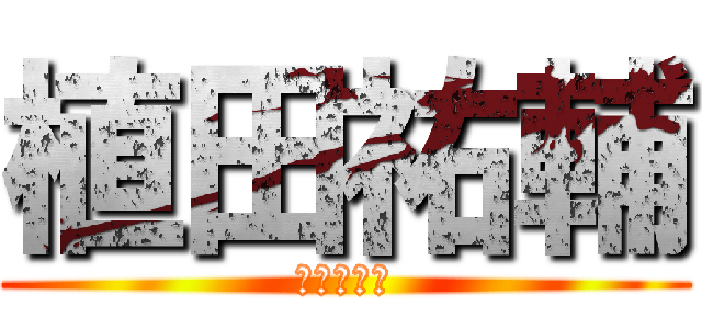 植田祐輔 (なつの旦那)