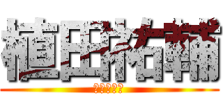 植田祐輔 (なつの旦那)