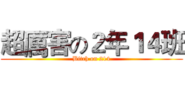 超厲害の２年１４班 (Bitch on 214)