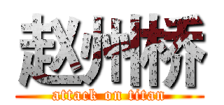 赵州桥 (attack on titan)