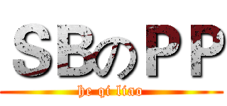 ＳＢのＰＰ (he qi liao)