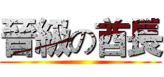 晉級の酋長 ()