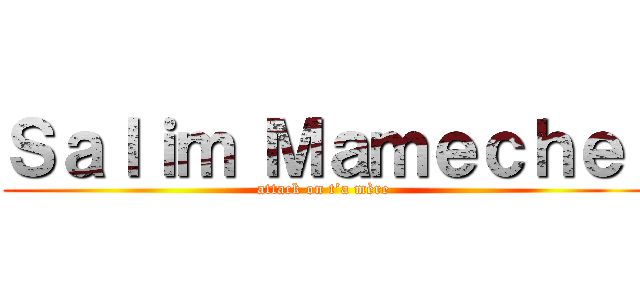 Ｓａｌｉｍ Ｍａｍｅｃｈｅ  (attack on t’a mère )