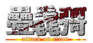 疉毳彁 (attack on titan)