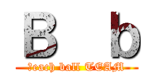 Ｂ  ｂ (Ｂeach ball TEAM)
