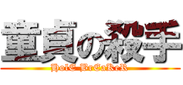 童貞の殺手 (HolE BrEaKeR)