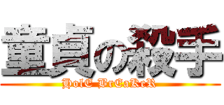童貞の殺手 (HolE BrEaKeR)