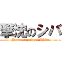 撃沈のシバ (Japanese midget Shiba)