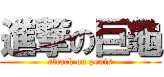 進撃の巨龜 (attack on penis)