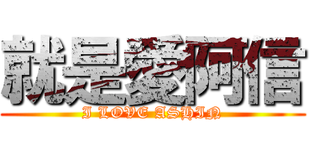 就是愛阿信 (I LOVE ASHIN)