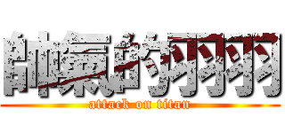 帥氣的羽羽 (attack on titan)