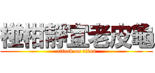 椪柑靜宜老皮龜 (attack on titan)