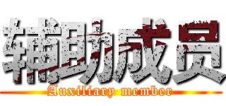 辅助成员 (Auxiliary member)
