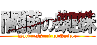 闇猫の蜘蛛 (Darkness cat of Spider)