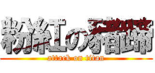 粉紅の豬蹄 (attack on titan)