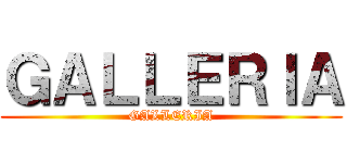 ＧＡＬＬＥＲＩＡ (GALLERIA)