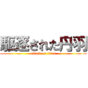 駆逐された丹羽 (attack on titan)