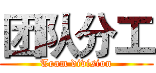 团队分工 (Team division)
