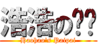 浩浩の呸呸 (Haohao\'s Paipai)