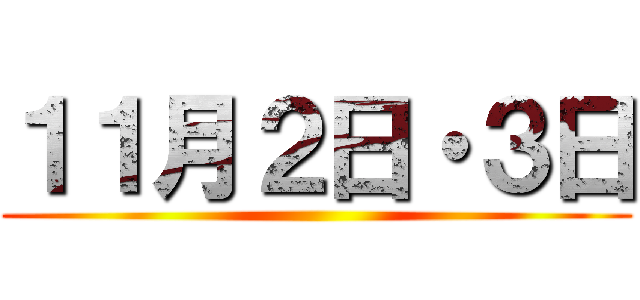 １１月２日・３日 ()