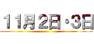 １１月２日・３日 ()