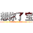 想你了 宝 (attack on Bao)